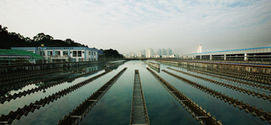 兩會聲音：城市“新洼地”之痛 如何補齊城市地下管網(wǎng)短板？